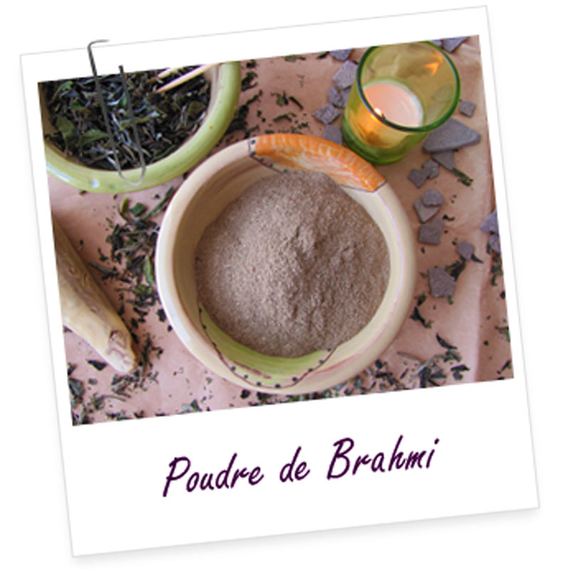 Poudre de brahmi