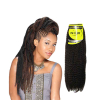 JANET COLLECTION Mèches Afro Twist Braids (Marley)