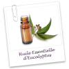 Huile Essentielle EUCALYPTUS
