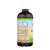GEL ALOE VERA Lily of the desert
