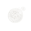 alpha-arbutin (1)