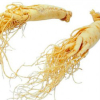 Ginseng Brésilient Bio en poudre (50g) – Image 2