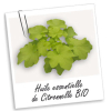 Huile Essentielle CITRONNELLE (10ml)