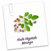 Huile Végétale Bio: Moringa