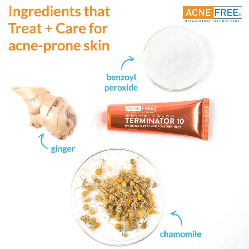 ACNEFREE Terminator 10 Creme Traitante Anti-acne Severe Au 10% de Peroxide de Benzoyle