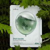ISNTREE Spot Saver Mugwort Masque en Tissu de Gaze a l'Armoise