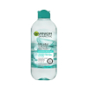 Garnier-Aloe-Water