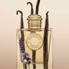 burberry-edp