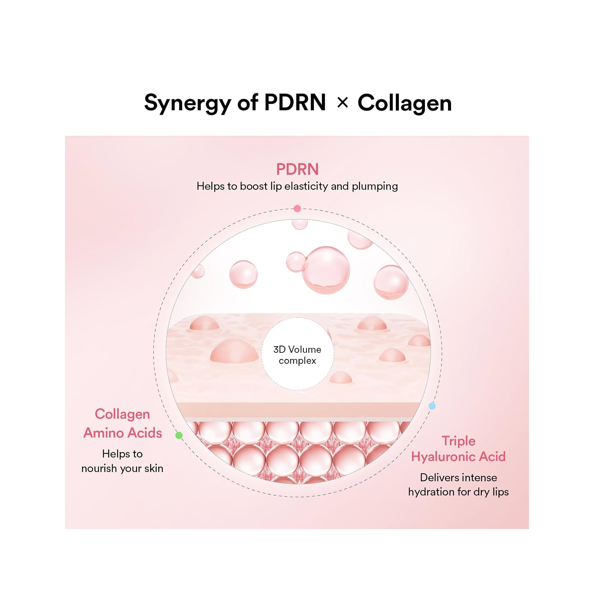 pdrn-collagen-nuit
